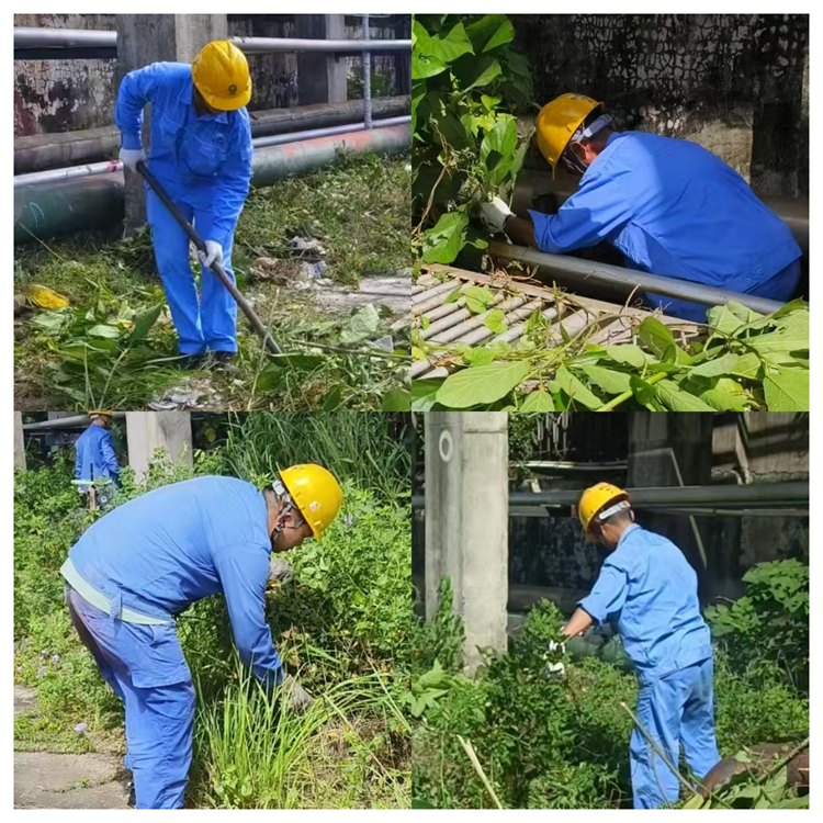 华信除杂草_副本.jpg